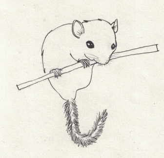 Inktober-no6-rodent