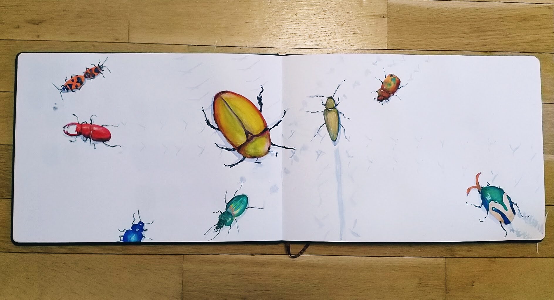 insects-walking